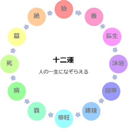 大運 胎|【四柱推命】十二運「胎（たい）」の性格と特徴は？。